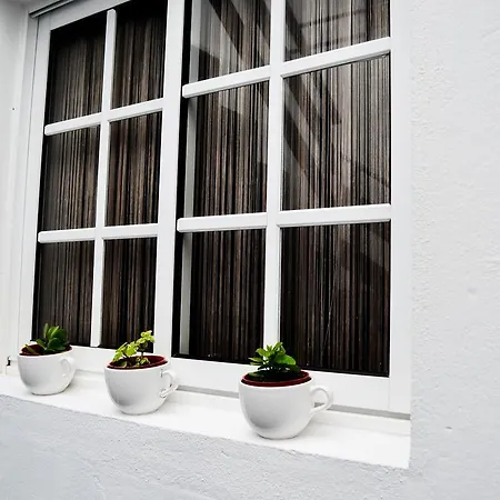 A Casa Do Chafariz Ribeira Grande